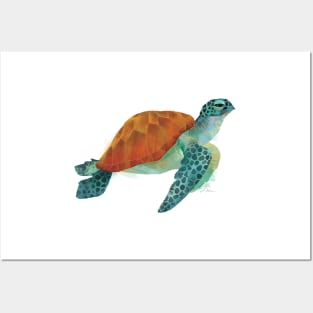 Green Sea Turtle - No Background Posters and Art